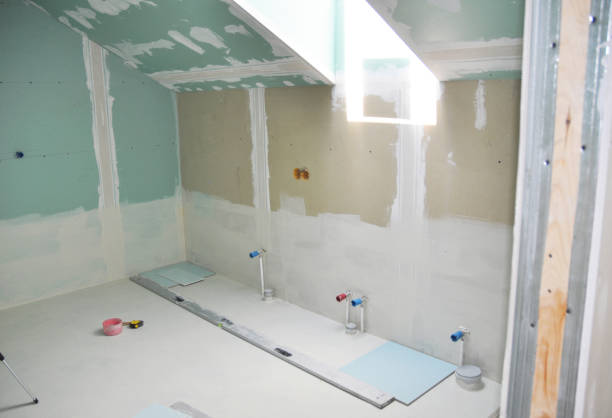 Best Mold Damage Restoration  in Westby, WI