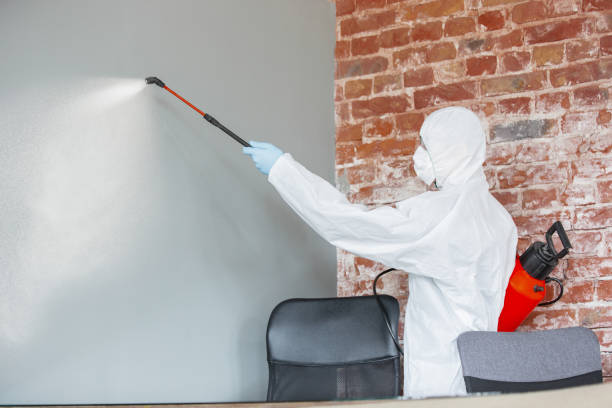 Best Mold Removal for HVAC Installations  in Westby, WI