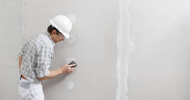 Best Residential Mold Inspection & Testing  in Westby, WI