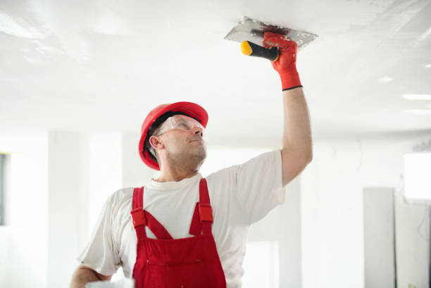 Best Mold Documentation for Insurance Claims  in Westby, WI