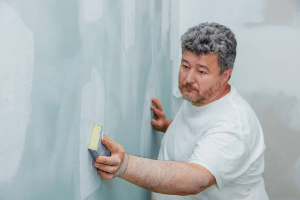 Best Attic Mold Removal  in Westby, WI