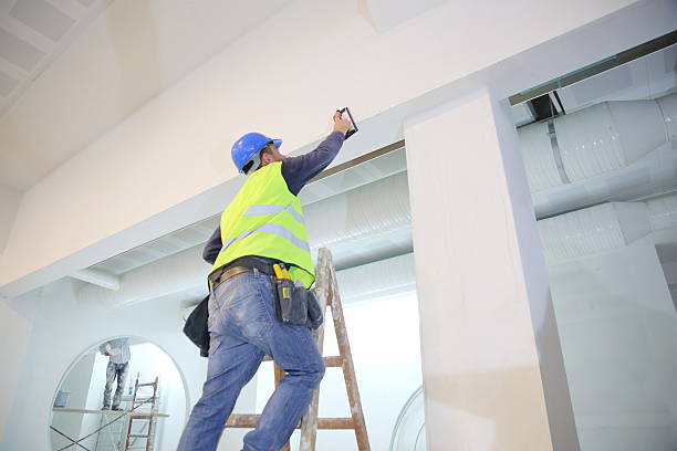 Best Commercial Mold Inspection  in Westby, WI